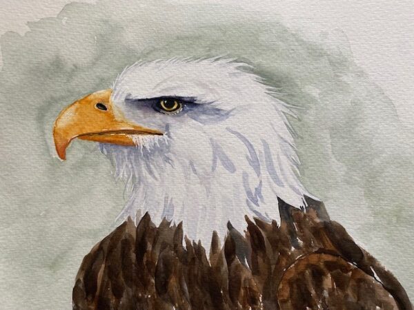 A watercolor painting of a brown eagle